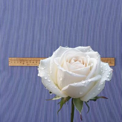 Ανθεκτικό βαμβακερό νήμα βαμμένο ύφασμα με ρίγες για επίσημα πουκάμισα στολών 110gsm